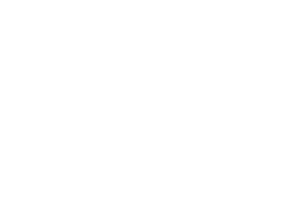 Segway